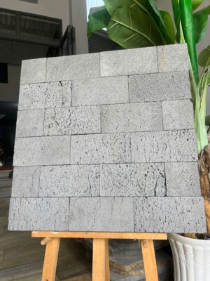 Đá ong 10x20 ốp tường trang trí (1)
