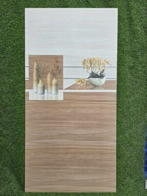 Gạch ốp tường mờ 30x60 3601